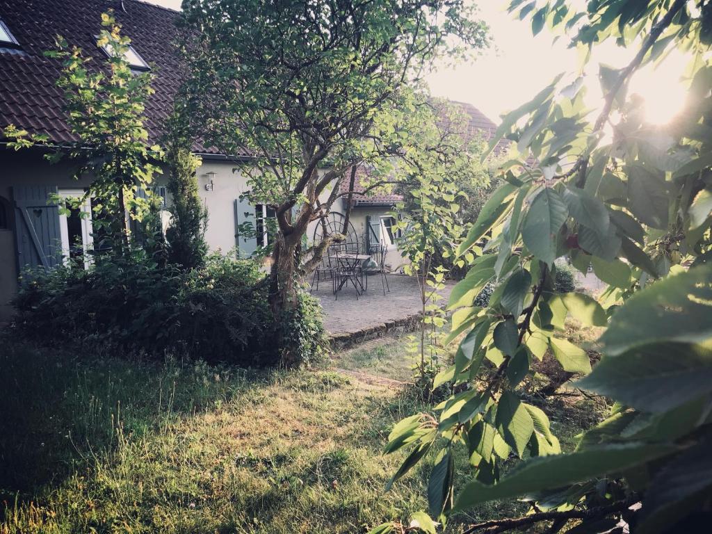 a house with a tree in front of it at Maison d'hôtes des Mondfänger in Meisenthal