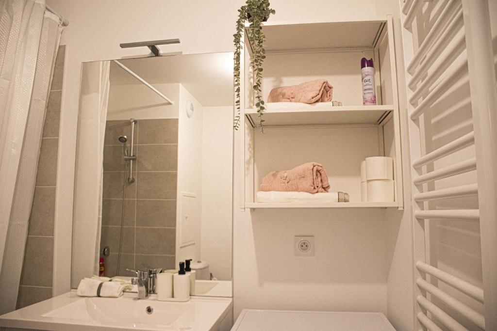 Kúpeľňa v ubytovaní Superbe appartement entre Paris et Disneyland
