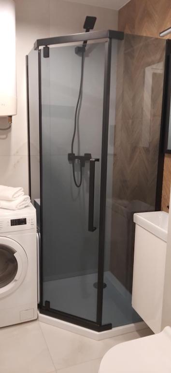 APARTAMENT Klasztorna Centrum Nowy Sącz - One-Bedroom Apartment