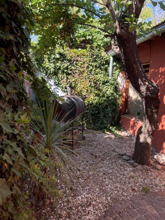 un banco sentado bajo un árbol al lado de un edificio en Apartamentos La escondida en San Rafael