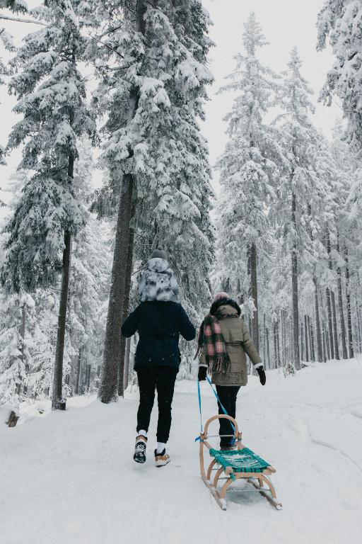 OREA Spa Hotel Palace Zvon Mariánské Lázne - Resim 44