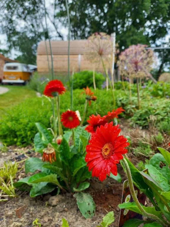 Zahrada ubytování Vakantiewoning Victors Hof tot 4 pers