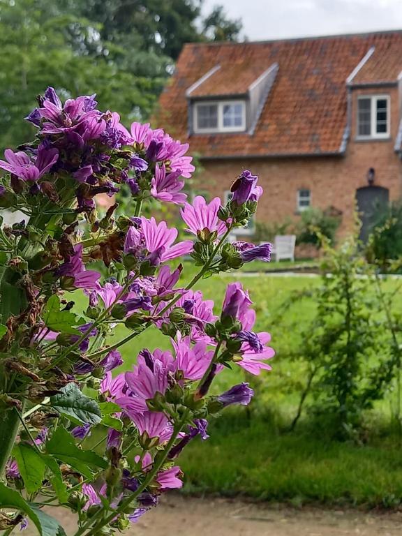 Zahrada ubytování Vakantiewoning Victors Hof tot 4 pers