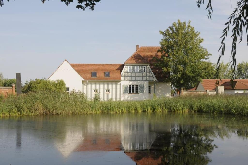 una gran casa blanca junto a un cuerpo de agua en Forsthaus Lelkendorf / Ferienwohnung en Lelkendorf