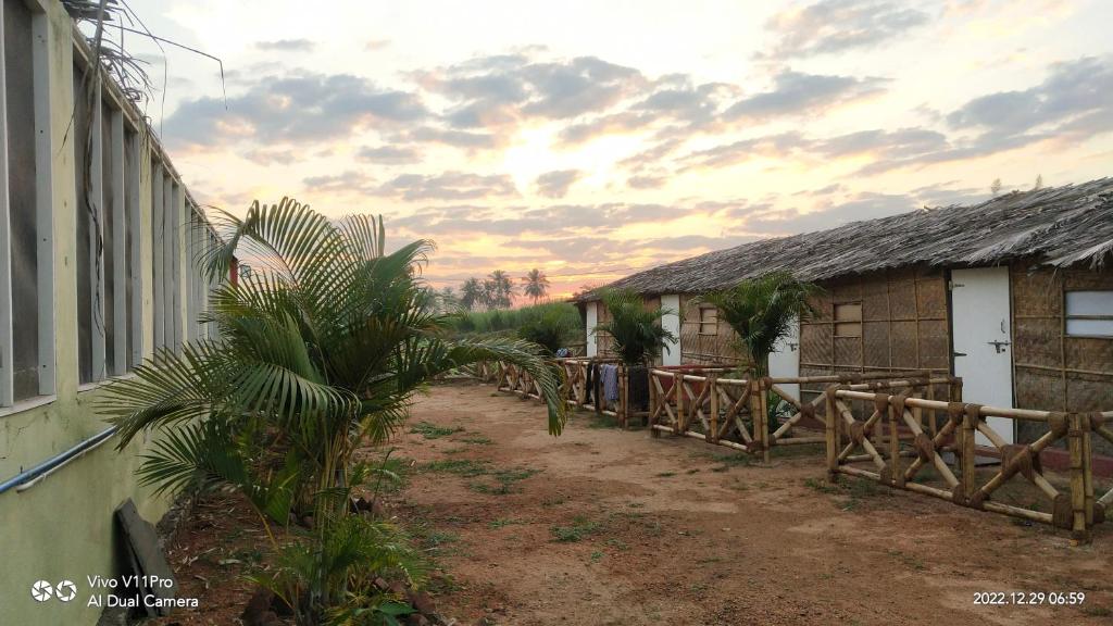 Taste Of Hampi Stay at Adventure - Housity