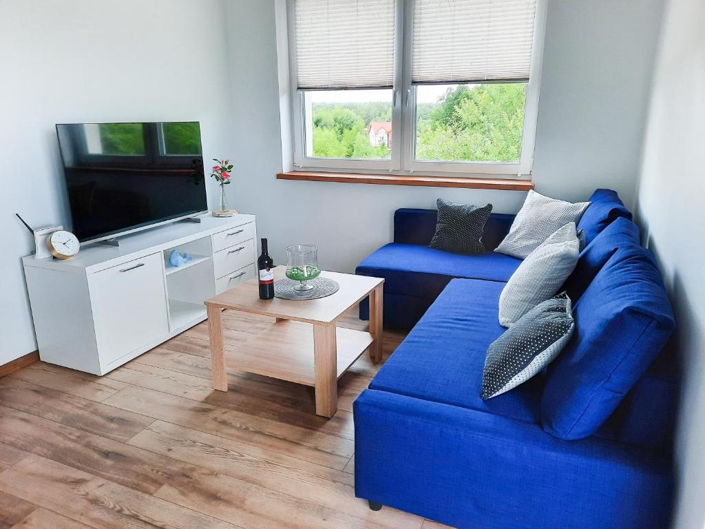 a living room with a blue couch and a tv at Apartament HARPUN nad morzem in Rusinowo