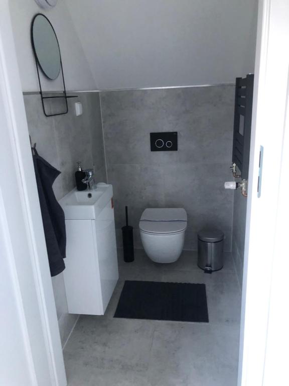 Kúpeľňa v ubytovaní DOMEK SUDECKI ZAKĄTEK - 2 APARTAMENTY 7- os Z GORĄCĄ BALIĄ ZEWNĘTRZNĄ