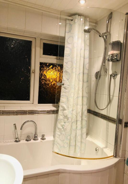 Squirrel house B&B in High