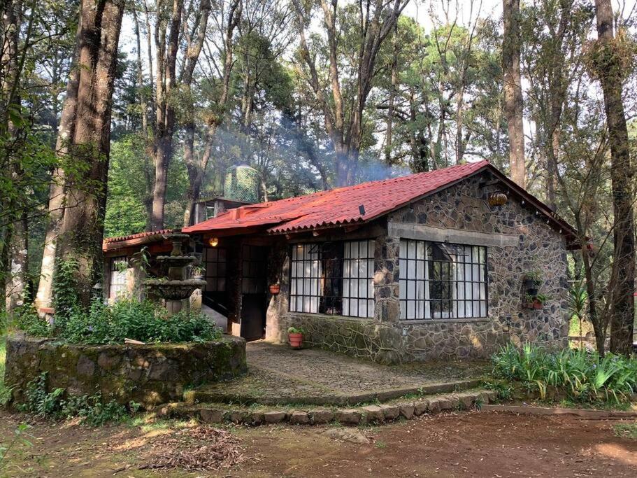 uma pequena casa de pedra com um telhado vermelho na floresta em Hermosa cabaña en el bosque em Tres Marías