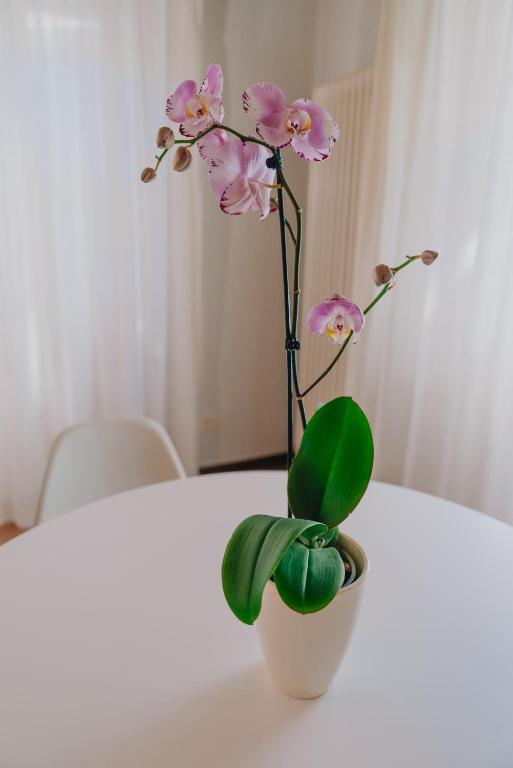 Locanda Del Feudo Suite & Restaurant - Suite De Luxe