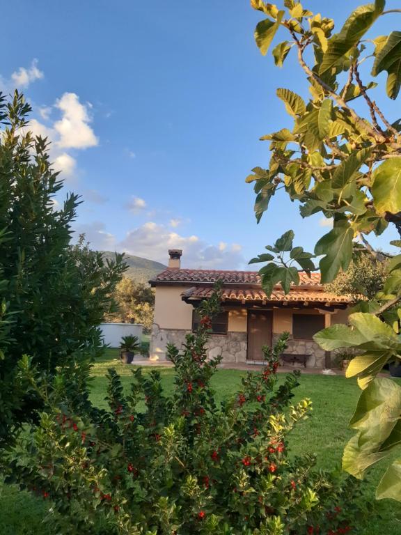 une maison dans une cour avec des buissons et des arbres dans l'établissement La Celestina, à Candeleda