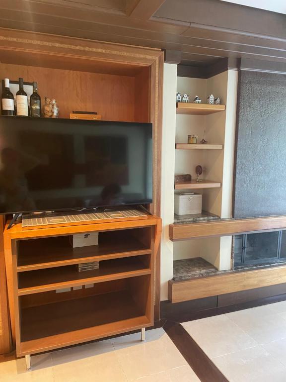 TV a/nebo společenská místnost v ubytování Privilege Apart hotel Mountain Village