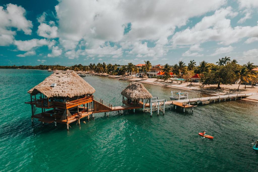 The Lodge at Jaguar Reef photo