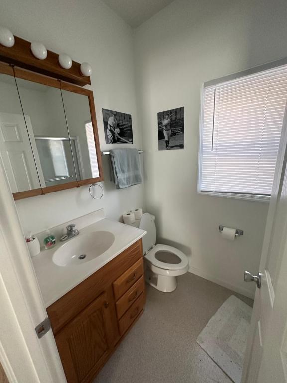 a bathroom with a toilet and a sink and a mirror at Cozy apartment in Shenandoah in Shenandoah