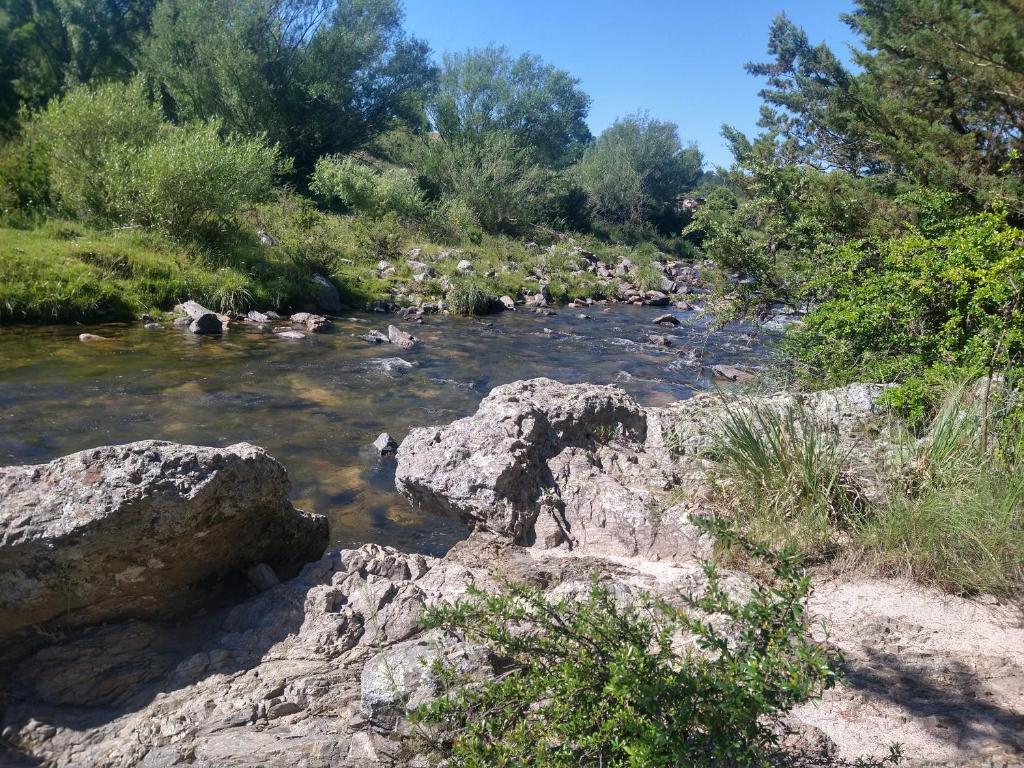 Cabañas Rio y Playa