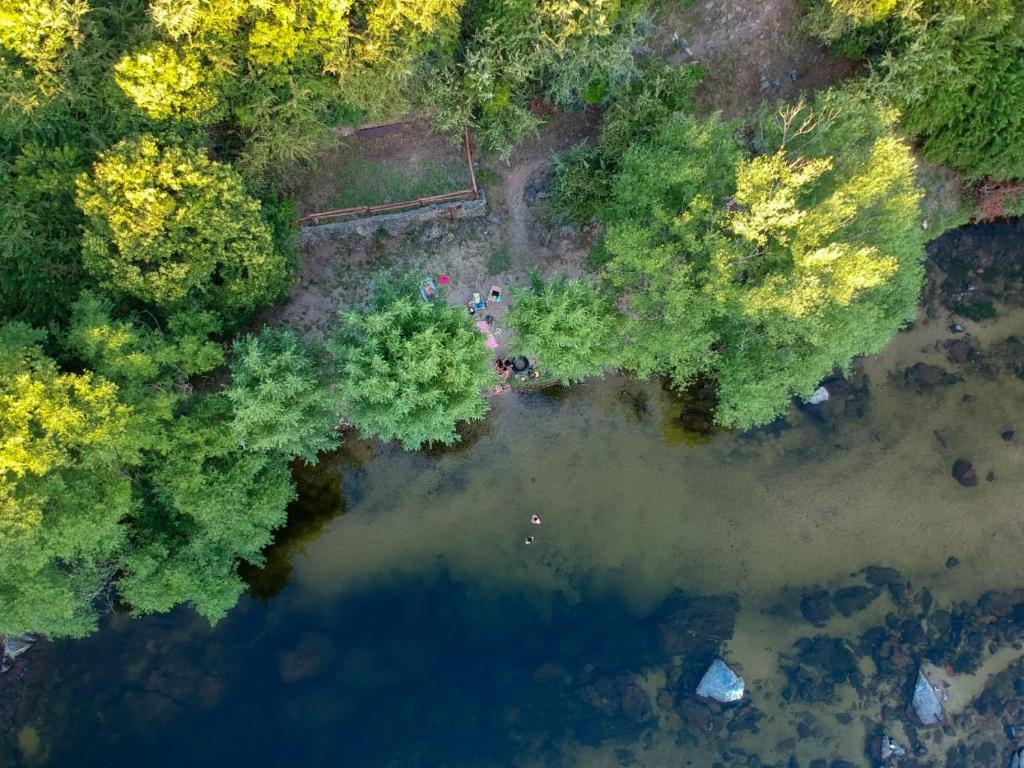 Cabañas Rio y Playa
