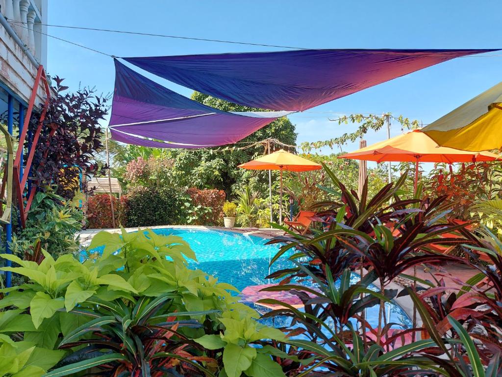 a swimming pool with an umbrella and some plants at Colours Land Home in Nha Trang