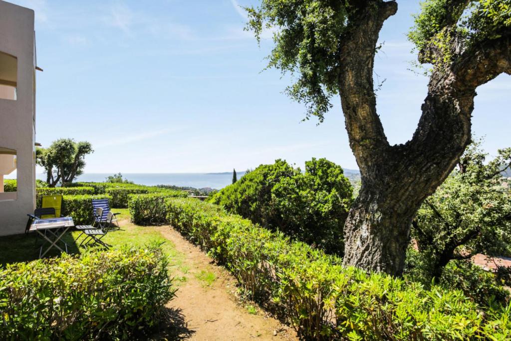 un jardin avec un arbre à côté d'une maison dans l'établissement Les Issambres Lauriers - maeva Home - Appartement 2 pièces 5 personnes Sélection MAE-2988, aux Issambres