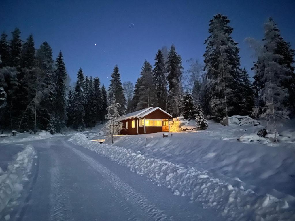 Helsingegården v zimě