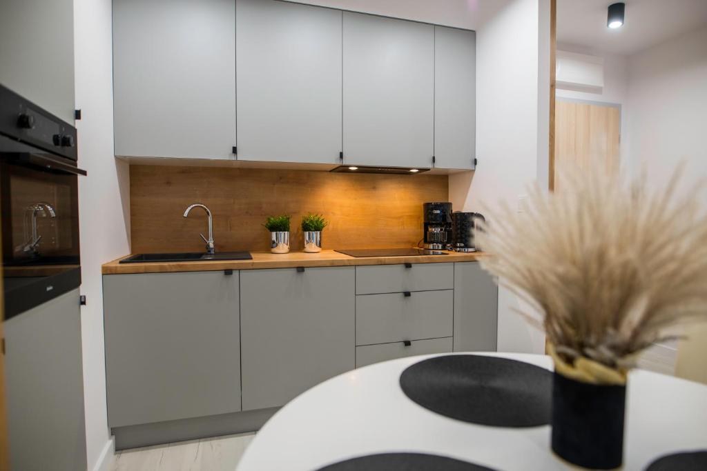 Kuchyňa alebo kuchynka v ubytovaní Nowoczesny apartament Ludova