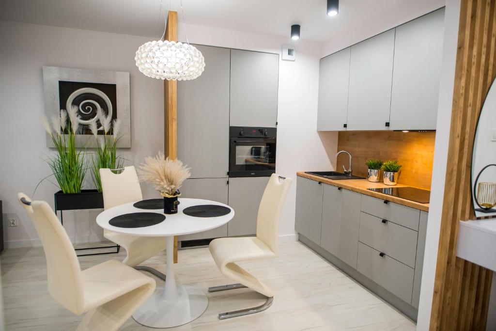 Kuchyňa alebo kuchynka v ubytovaní Nowoczesny apartament Ludova