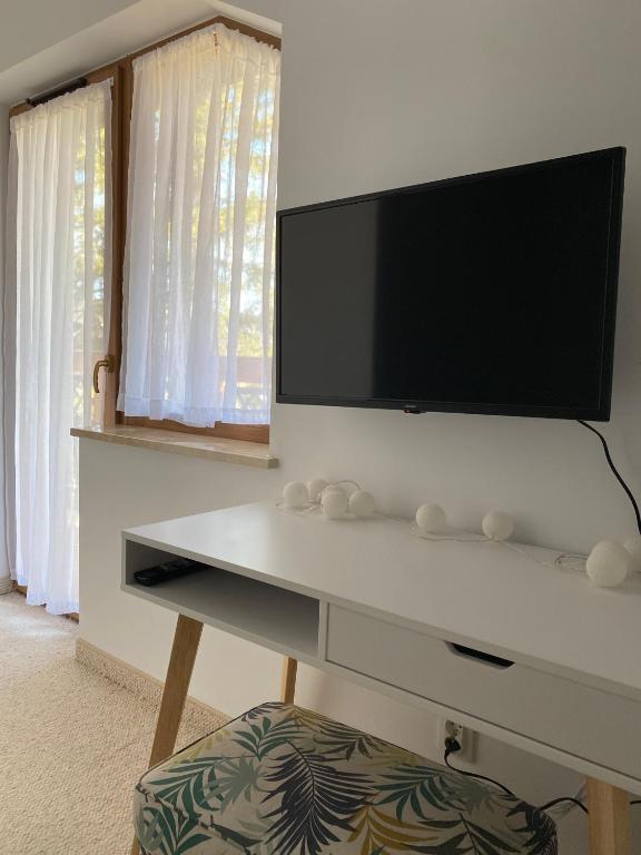 Televízia a/alebo spoločenská miestnosť v ubytovaní Apartament Nad Potokiem 41