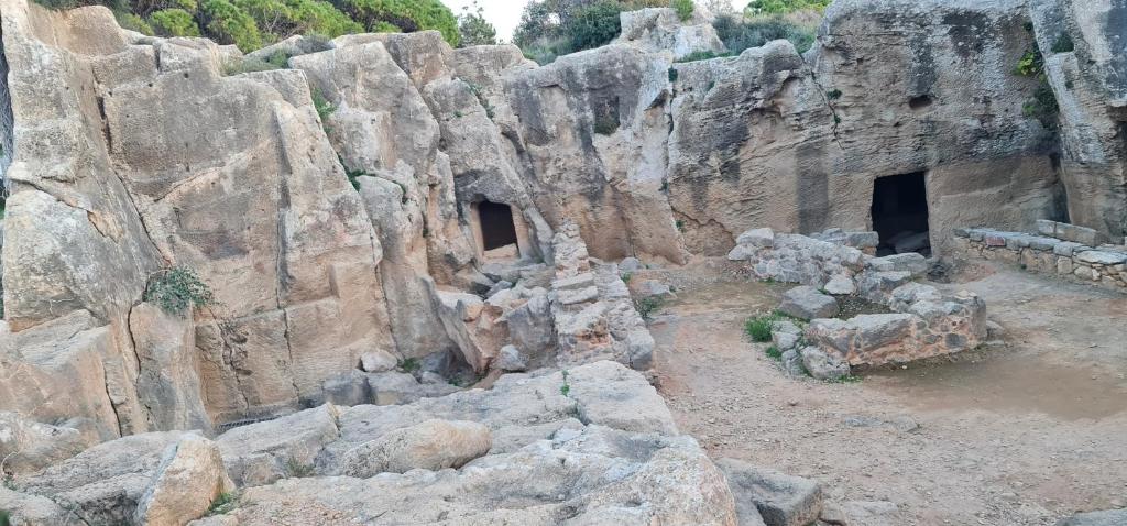 Fotografie z fotogalerie ubytování Bee Hostel Paphos v destinaci Paphos City