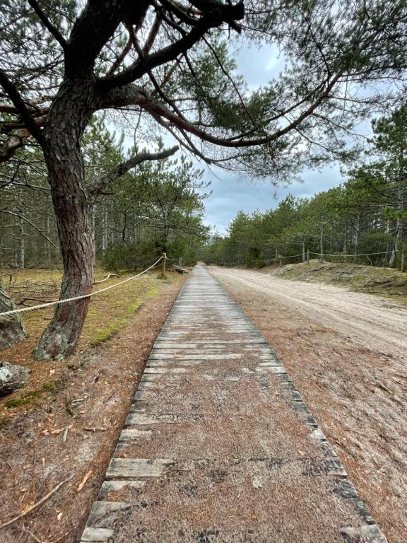 Príroda v okolí dovolenkového domu