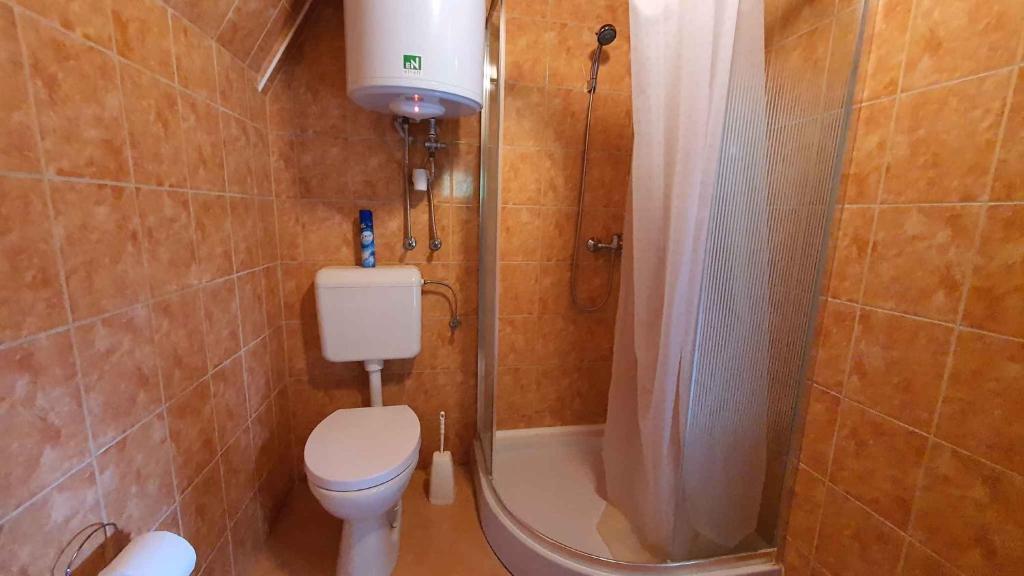 Kúpeľňa v ubytovaní Holiday home in Balatonmariafürdo 43118