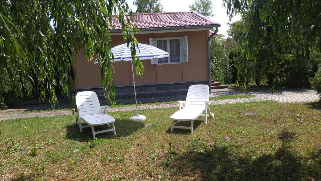 Holiday home in Balatonfenyves 43110 8646 Balatonfenyves, Kálmán Imre utca kép - 1