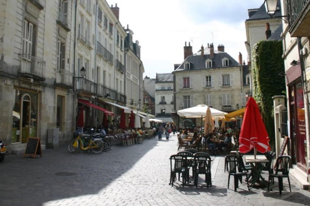 Fotografia z galérie ubytovania Elégant appartement au cœur du Vieux Tours v destinácii Tours