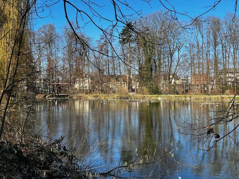 Příroda nedaleko apartmánu