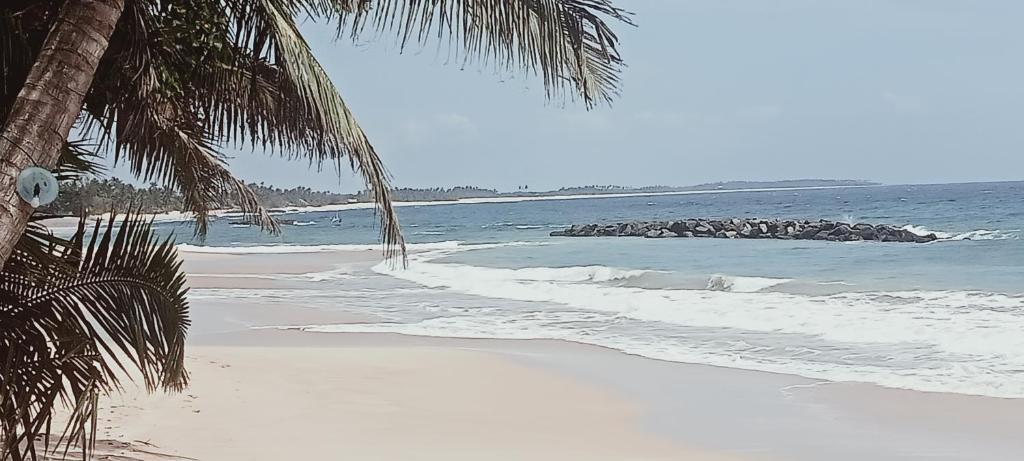 Rock Paradise Beach Hotel & Restaurent - Housity