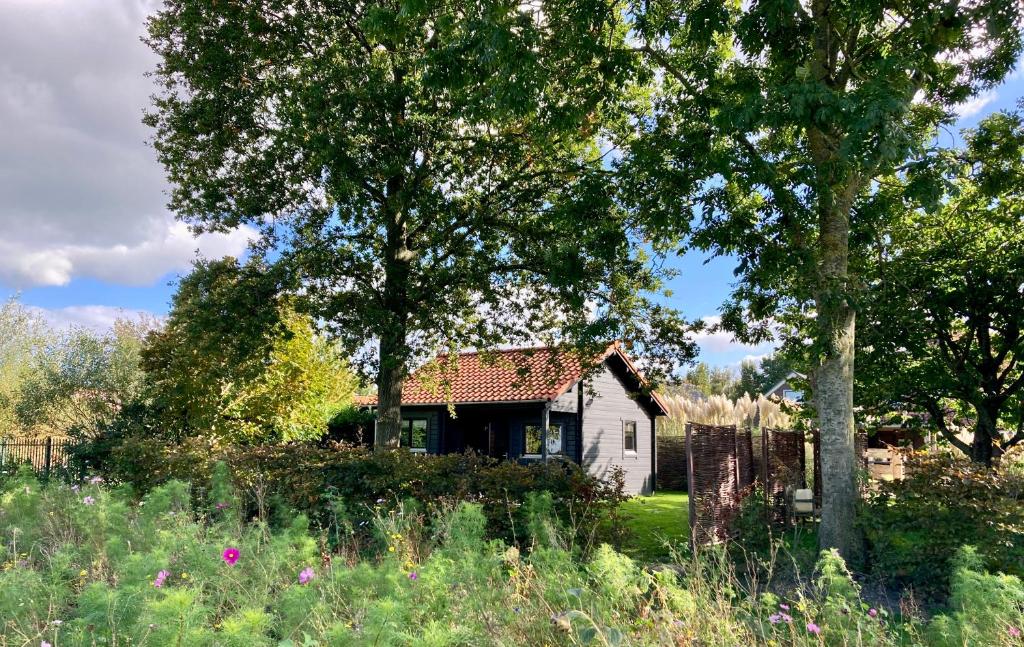 ein altes weißes Haus auf einem Feld mit Bäumen in der Unterkunft Landelijk gelegen houten huisje in Opperdoes
