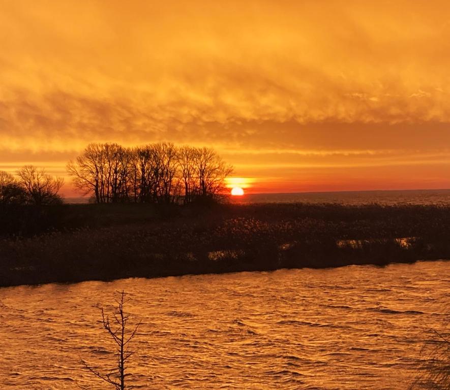 a sunset over a body of water with trees at Auszeit am Haffufer in Wilhelmshof