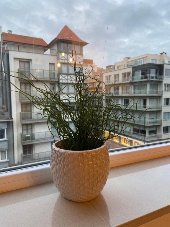 Balkón nebo terasa v ubytování Studio Delfien
