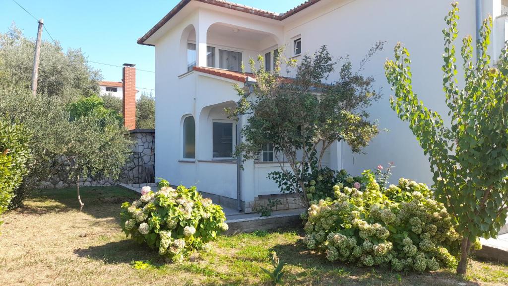 Κήπος έξω από το Vera