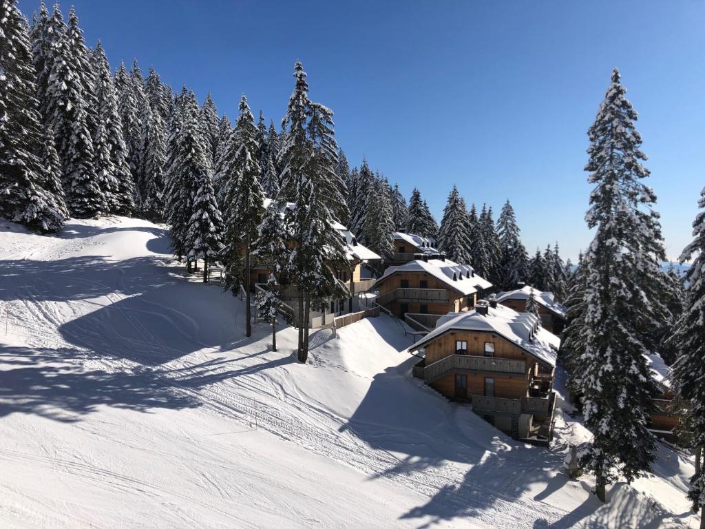 um alojamento de esqui na neve com árvores cobertas de neve em Primorka Golte em Mozirje