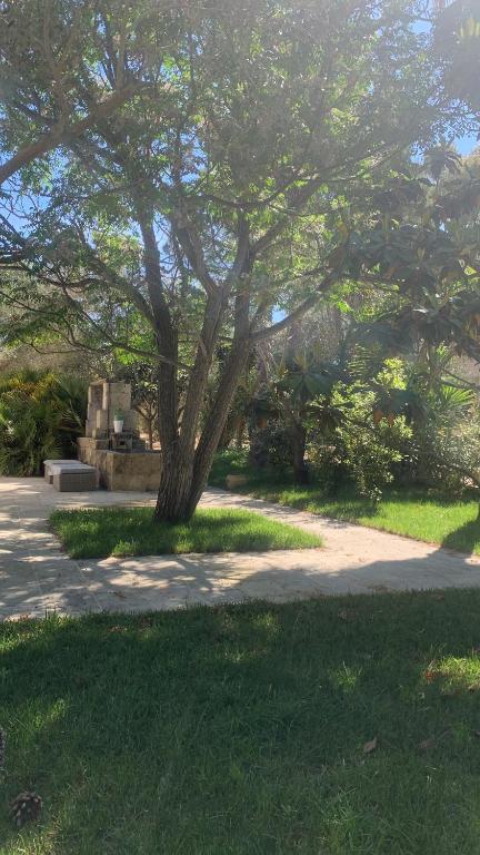 A garden outside Tenuta Sidore