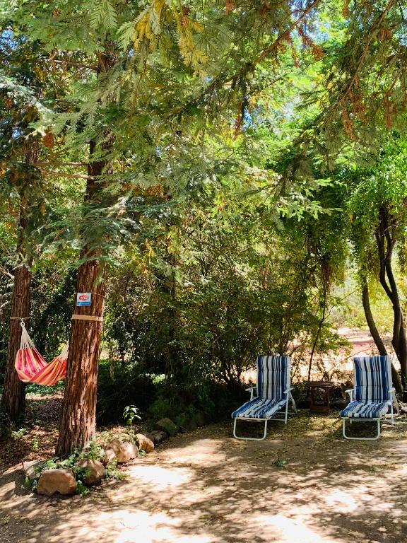 Zahrada ubytování KURALEMU Casa de Campo