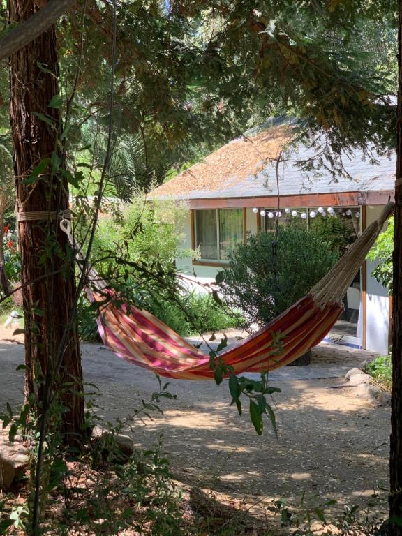 Zahrada ubytování KURALEMU Casa de Campo