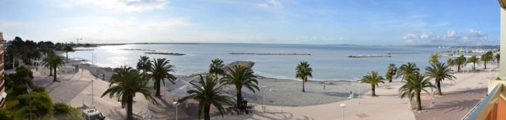 a beach with palm trees and a large body of water at Maeva in Saint-Laurent-du-Var