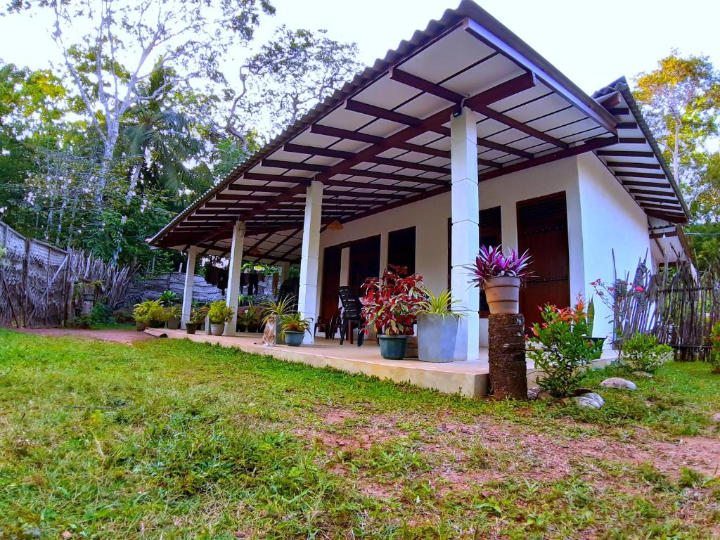 Zahrada ubytování Cashew Villa Hiriketiya