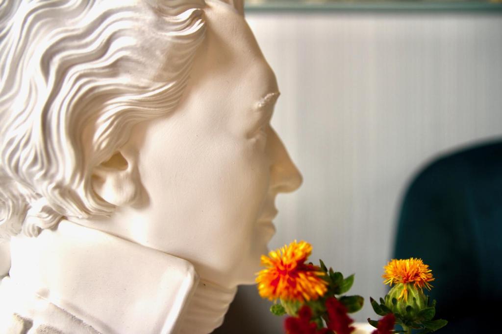 Amadeus Hotel - Resim 9