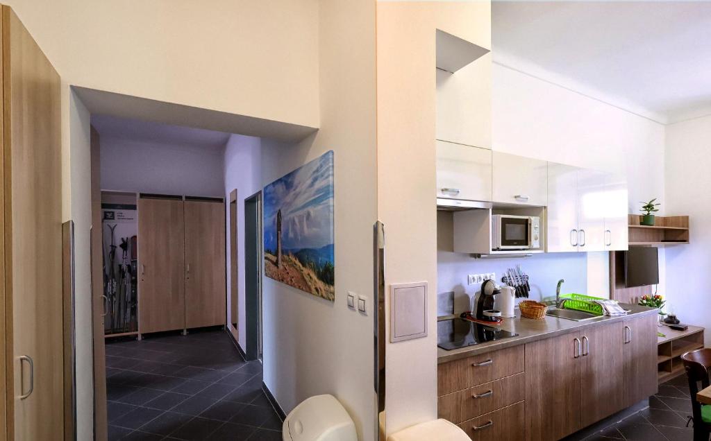 Kuchyň nebo kuchyňský kout v ubytování Apartmány U Aloise
