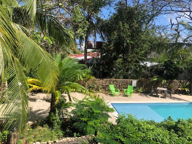 a swimming pool with two green chairs and trees at Casona La Carolina in San Andrés