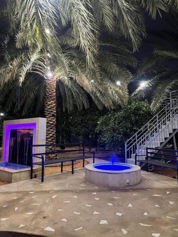 una fuente en un patio con una palmera en شاليهات حميدانة الخير en At Turbīyah