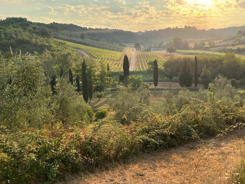 una vista de un campo con árboles y un viñedo en Agriturismo Campolungo en Sant'Ermo