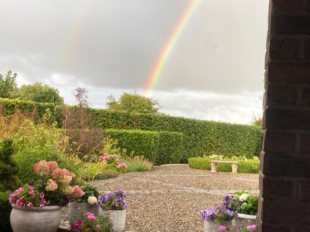 A garden outside Clara Lodge