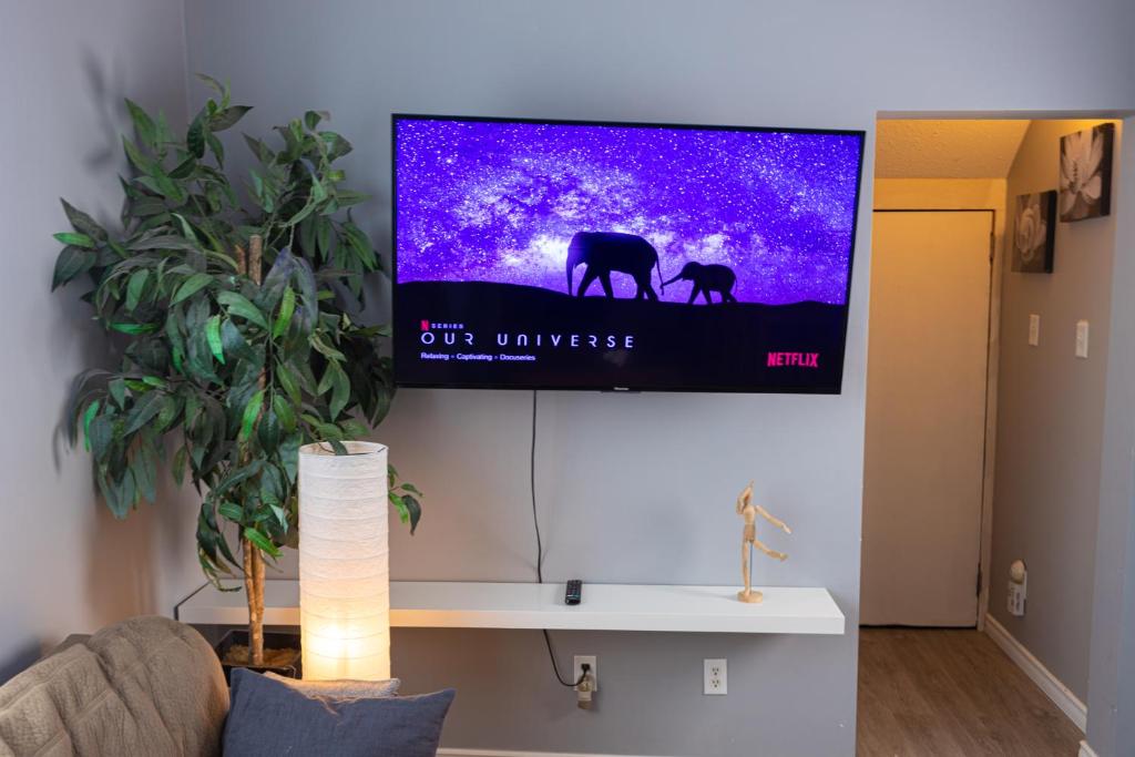 TV a/nebo společenská místnost v ubytování Cozy Home in Downtown Winnipeg